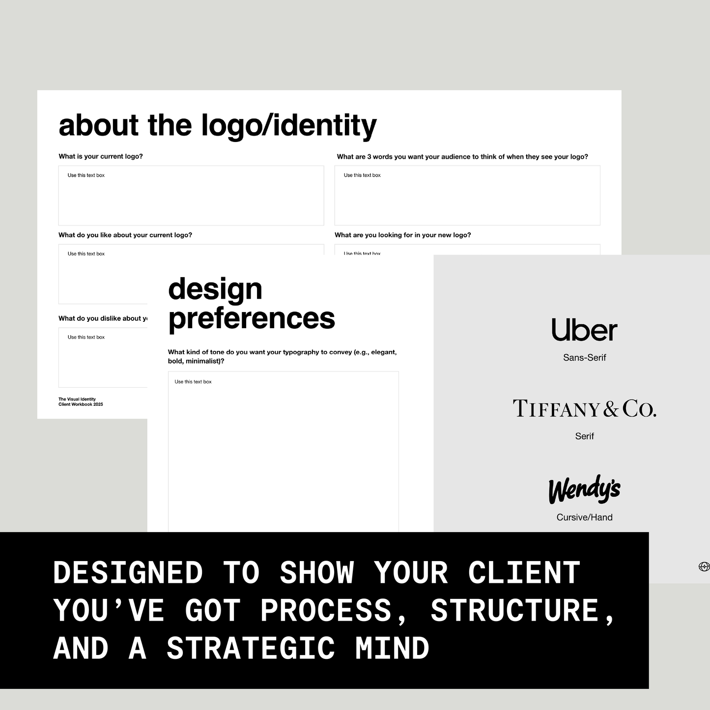 THE VISUAL IDENTITY CLIENT WORKBOOK TEMPLATE